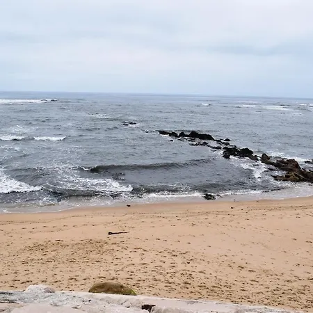 Oceânica 1 *