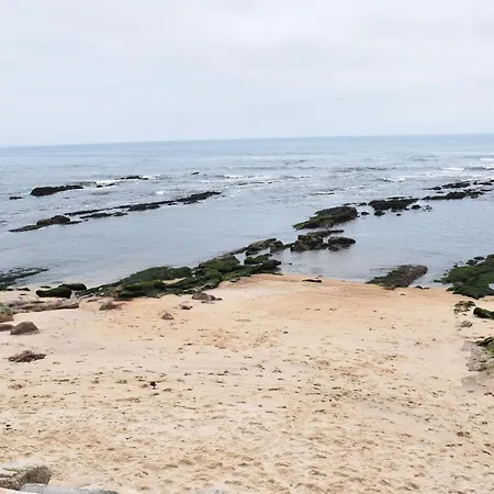 Oceânica 1 *