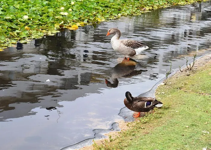 Oceânica 1 Figueira da Foz